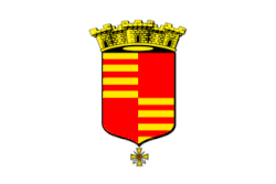 Flag of Saint-Amand-Montrond